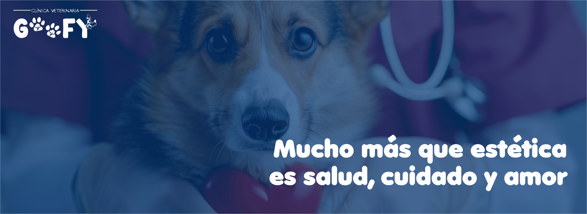 imagen carrusel