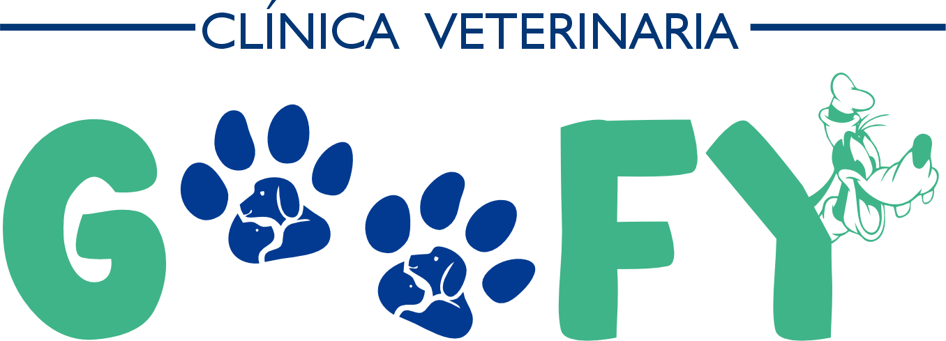 logo empresa